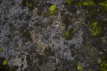 Mossy old rough stone surface texture