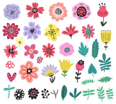 Flowers set vector floral collection