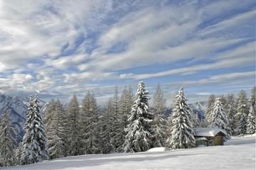 Neuschnee in den Bergen