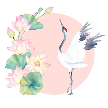 Watercolor crane with flower lotus. Japanese design. Hand drawn illustration