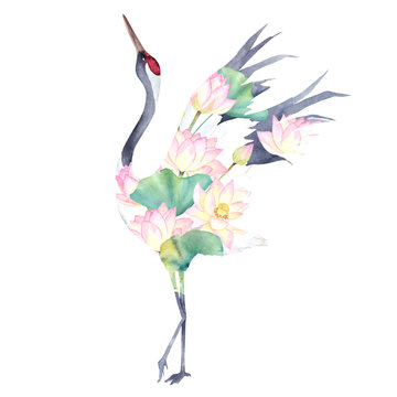 Watercolor print with crane of lotus flowers. Japanese hand drawn illustration