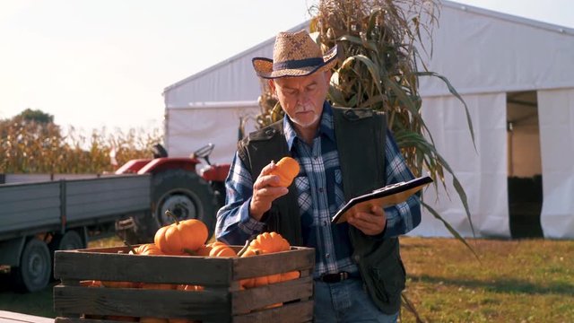 Man with clipboard examining pumpkins
