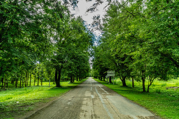 Fototapeta premium Asphalt country road