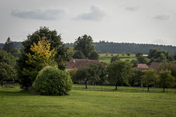 red roofs home small village among trees with autumn leaves
