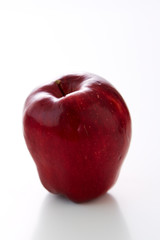 Red apple on white Background