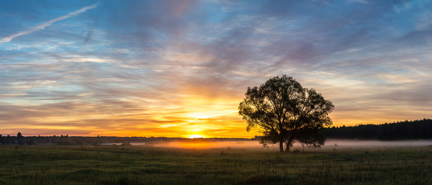 Sunrise over field and tree
