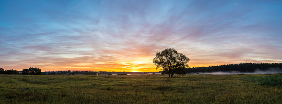 Fototapeta Sunrise over field and tree