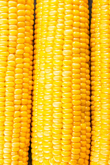 Corn background