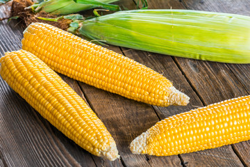 Corn cobs