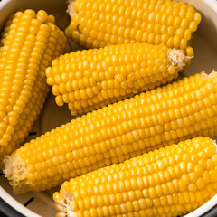 Boiled corn