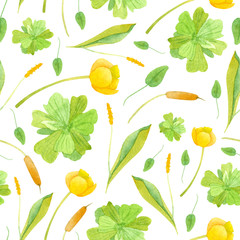 Watercolor wetland floral pattern with yellow nuphar lutea orontium and green pistia on white background