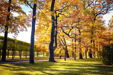 Fototapeta premium Beautiful autumn park.