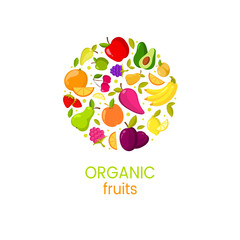 Vector organic fruits banner with natural fresh food illustration