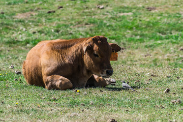 Fototapeta premium Esas miradas