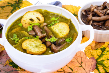 Dishes from mushrooms. Autumn soup with forest mushrooms