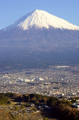 富士山