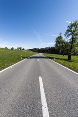 Fototapeta premium Asphalt road between meadows in Switzerland
