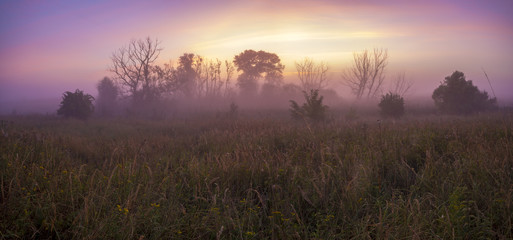 misty and colorful sunrise on a wild meadow