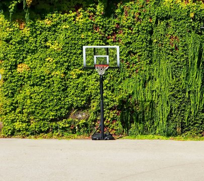 Portable Basketball Hoop In Front Of A Fully Covered Ivy Wall.