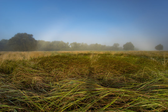 Fog bow,Rainbow fog in the meadow