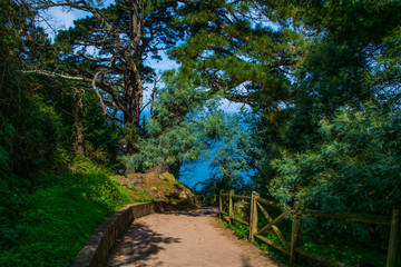 the beauty of the nature