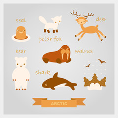 vector cartoon illustrations of polar animals