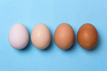 Four chicken eggs of different colors. How to choose the right eggs when buying.