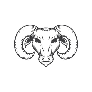 goat head vector illustration
