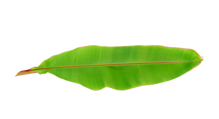 Fototapeta premium Banana Leaf isolated on white background