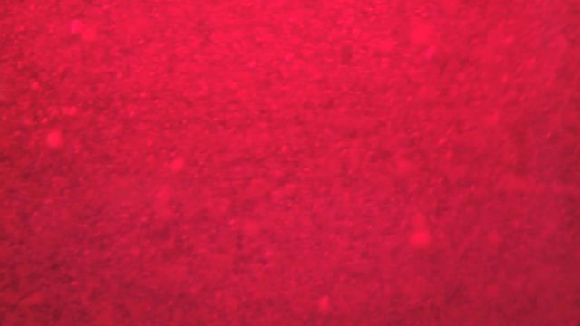 Bubbles rising in thick, red liquid making an abstract background.