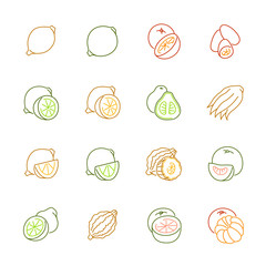 Citrus fruits icons - Lemon, orange and pomelo