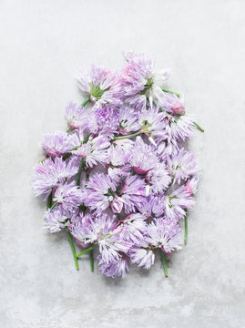 Cut chives flowers in cluster