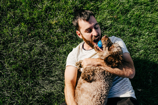 .Young beautiful man enjoying a sunny day in the park with his brown dog. They are playing together lying on the green grass. Lifestyle - Powered by Adobe