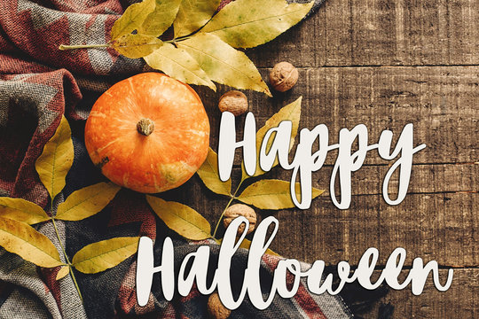 happy halloween text sign  flat lay. pumpkin with leaves and walnuts on stylish scarf top view, space for text. seasonal greetings, autumn fall holidays. harvest time. cozy mood