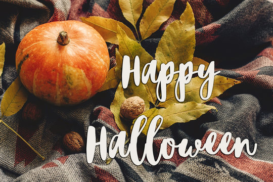 happy halloween text sign on autumn pumpkin with colorful leaves  and walnuts on stylish scarf fabric, space for text. seasonal greetings, fall holidays. harvest time. cozy mood
