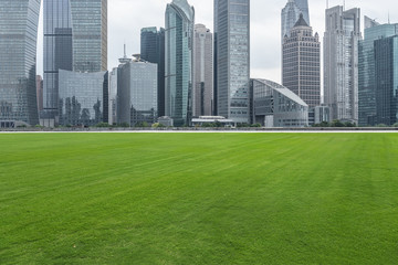 cityscape and skyline of shanghai from meadow in park