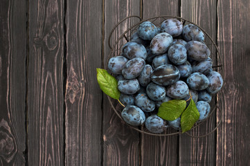 Garden blue plums in a bowl on a dark rustic wooden background with copy space top view.