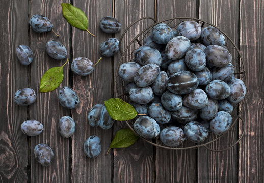 Garden blue plums in a bowl on a dark rustic wooden background with copy space top view.