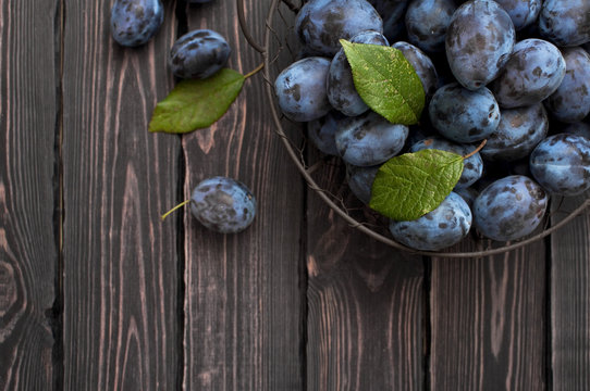 Garden blue plums in a bowl on a dark rustic wooden background with copy space top view.