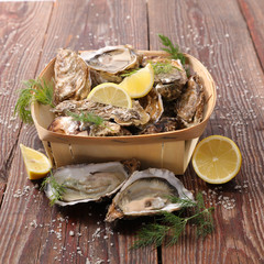 fresh oyster