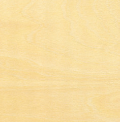 Wood plank texture