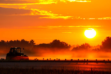 Early Morning Grasscutting