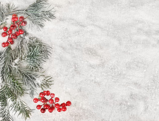 Winter background - snow, natural fir tree, cranberries