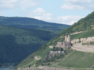 Fototapeta na wymiar Burg Ehrenfels