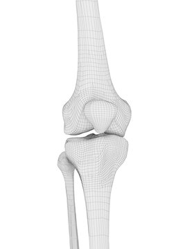3d rendered medically accurate illustration of the knee bones