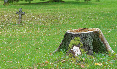 Stump and cross