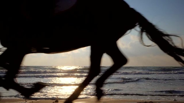 Beautiful young women riding dark horses at sea beach. Enjoying beautiful landscape.Galloping run in sunset or sunrise light and splashing water drops around.Riders running at a gallop.Slow motion.