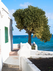 Fototapeta premium Arrieta. Lanzarote