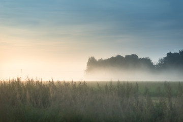 Fototapeta na wymiar Autumn morning foggy sunrise at meadow