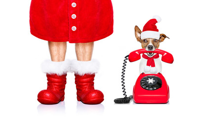 christmas santa claus dog on the phone